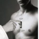 359bd2286197gb00884 gay