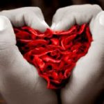 8d6b7ce1df5i292hb1h coracao