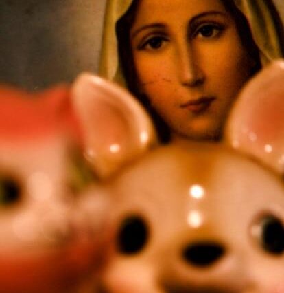 Filha de Madonna causa na Semana de Moda de Paris com looks provocantes e busca seu lugar além do rótulo ‘nepo baby’