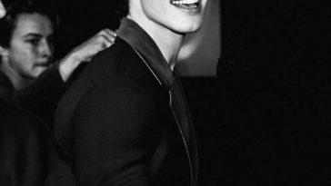 shawn mendes de cueca