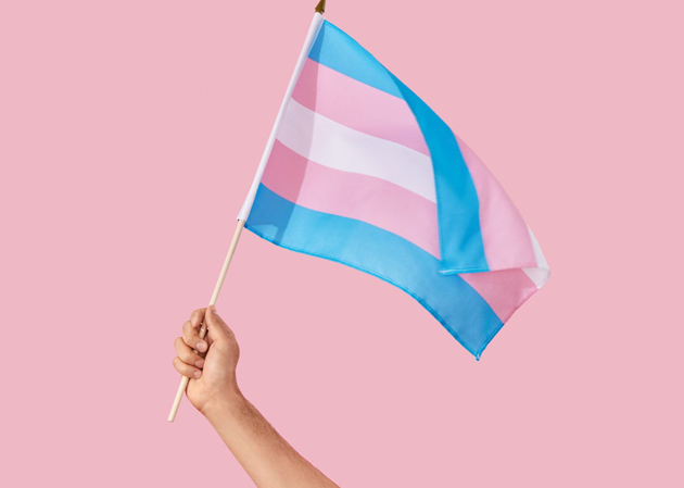 bandiera trans