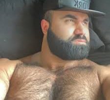 persian wolf tiktok