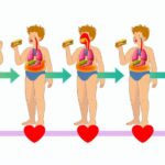 O que acontece com seu corpo ao consumir alimentos ultraprocessados em excesso? 12 172370 1719993378 original