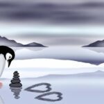 A Trágica Partida de Sphen: A História do Pinguim Gay que Transformou o Amor em um Símbolo de Aceitação Global 12 177152 1724336271 original