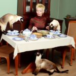 177474 1724559543 original