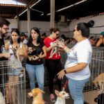 178846 1725582706 original