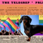 180252 1726604419 original