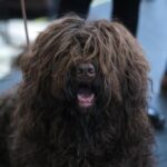 181313 1733854424 original