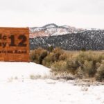 181344 1733865805 original