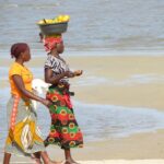 "Como a Comissão de Defesa dos Direitos da Mulher do Recife Transformou Políticas Públicas em Quatro Anos: Um Balanço de Iniciativas e Impactos" 12 181374 1733877758 original