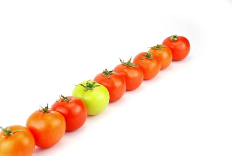 "Ricky Martin: Como o Rei do Pop Latino Continua a Reinar na Música e Desafiar os Fãs com Suas Letras Icônicas" 1 181408 1733894560 original