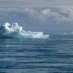 181845 1734129350 original