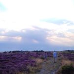 "Como o Paarse Vrijdag Transformou a Celebração da Diversidade nas Escolas de Midden-Gelderland" 12 182045 1734239704 original