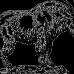 182201 1734357991 original