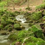 182794 1734705879 original