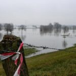 182849 1734729313 original