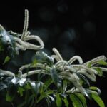 182863 1734734661 original