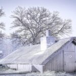 "Como os Filmes de Natal Estão Transformando a Representação LGBTQIA+ e Promovendo Inclusão nas Festividades"