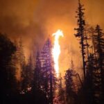 Incêndio em Prince Rupert Desloca Quase 100 Moradores e Levanta Questões sobre Segurança em Edificações Comunitárias