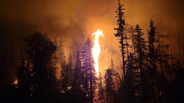 Incêndio em Prince Rupert Desloca Quase 100 Moradores e Levanta Questões sobre Segurança em Edificações Comunitárias