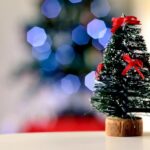 "Desaparecimento do cachorro de Anitta na noite de Natal: como a busca emocionante revelou os desafios da tutoria de pets"