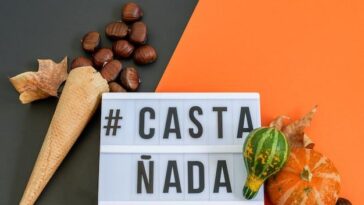 "Novembro de 2024 em São Carlos: Festival Universitário, Tragédias e Desafios Sociais em Foco"