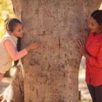 "Feira das Árvores: Como um Evento Local Está Transformando a Tradição Festiva em Experiência Comunitária" 13 "Feira das Árvores: Como um Evento Local Está Transformando a Tradição Festiva em Experiência Comunitária"