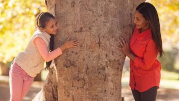 "Feira das Árvores: Como um Evento Local Está Transformando a Tradição Festiva em Experiência Comunitária"