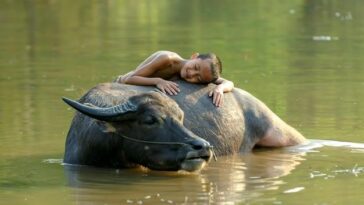 "Como a Aparelhagem Carabao Transformou o Cenário Musical do Pará com Inovações e Tradições"