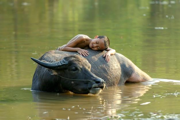 "Como a Aparelhagem Carabao Transformou o Cenário Musical do Pará com Inovações e Tradições"