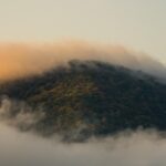 Mudanças Estratégicas no Mercado de Transferências: O Impacto da Saída de Will Goodwin e a Chegada de Ole Romeny no Oxford United 12 Mudanças Estratégicas no Mercado de Transferências: O Impacto da Saída de Will Goodwin e a Chegada de Ole Romeny no Oxford United