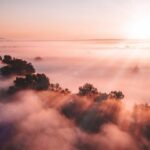 "Rihanna Revela Nova Coleção de Lingerie em Ensaio Fotográfico: O Que Está por Trás do Visual Deslumbrante e do Retorno à Música?"