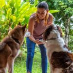 "Charlie, o cachorro de Anitta, enfrenta novas aventuras: como um porco-espinho e um telhado revelam os desafios da vida com pets"