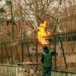 "Incêndios Florestais em Los Angeles: A Devastação que Afeta Celebridades e Comunidades em Meio a um Estado de Emergência"