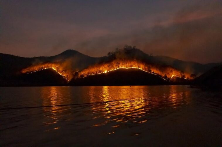 "Incêndios Florestais em Los Angeles: Britney Spears e Celebridades Compartilham Impacto e Preocupações em Meio à Crise"