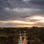 "Chuvas Devastadoras na Bahia: Cidades em Emergência e Impactos na Mobilidade"