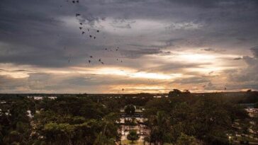 "Chuvas Devastadoras na Bahia: Cidades em Emergência e Impactos na Mobilidade"