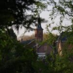 "Enigma em Münster: A misteriosa aparição de uma figura religiosa em tronco de árvore desafia investigações sobre sua origem"