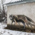 "Lobo Avistado em Área Residencial na Itália: O Que Isso Revela Sobre a Convivência entre Fauna Silvestre e Urbanização?"
