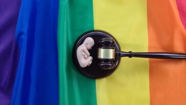 "Violência contra LGBTQIA+: O que revela a nova Agenda Nacional de Enfrentamento do Governo Federal?"