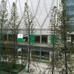 "Lone Tree Pass: Como um Novo Projeto Imobiliário Pode Transformar o Centro de Knoxville e Conectar Comunidades"