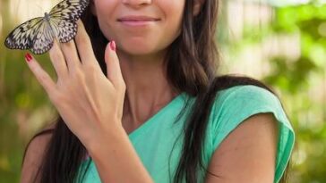 "Anitta e a Borboleta: O Que a Interação Inusitada Revela Sobre Conexões e Simbolismos nas Redes Sociais?"