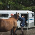 "Trailer de 'On Swift Horses': Como o Filme de Daniel Minahan Explora a Comunidade LGBTQ+ nos Anos 50"