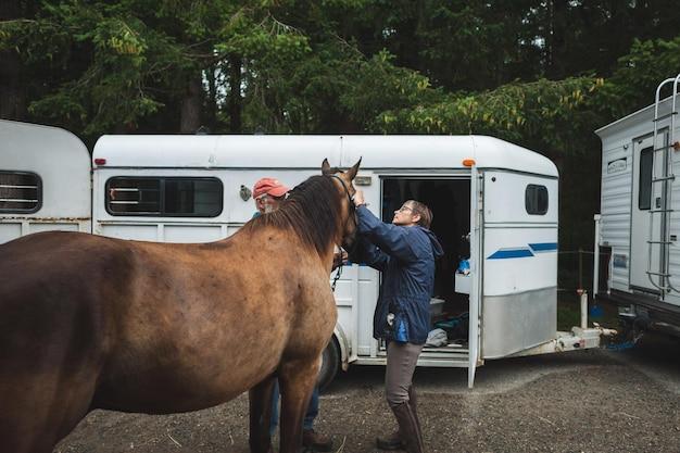 "Trailer de 'On Swift Horses': Como o Filme de Daniel Minahan Explora a Comunidade LGBTQ+ nos Anos 50"
