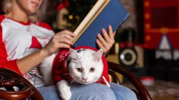 "Queen Olivia III Lança 'The Cat Operator’s Manual': O Que Esperar do Evento Literário em Wellington?"