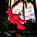 "Gloria Groove Revela Desejo de Anonimato no Carnaval: O Que Leva a Drag Queen Mais Famosa do Brasil a Querer se Disfarçar?" 13 "Gloria Groove Revela Desejo de Anonimato no Carnaval: O Que Leva a Drag Queen Mais Famosa do Brasil a Querer se Disfarçar?"