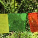 "Futebol no Acre: Gritos Homofóbicos e Crise de Segurança Revelam Desafios Sociais e Culturais em Tempos de Decadência"