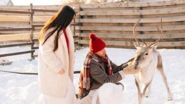 "Como a Queda de Neve Recorde Está Transformando o Comportamento dos Animais no Zoológico da Virginia"