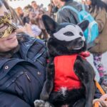 "Darklands: Como o Festival de Fetiches em Antuérpia Está Transformando a Cultura LGBTQIA+ e Promovendo a Saúde e o Bem-Estar"