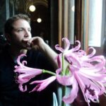 "Por que 'Sweet Magnolias' se destaca em um mar de dramas e reality shows: a força da amizade em tempos de desunião"